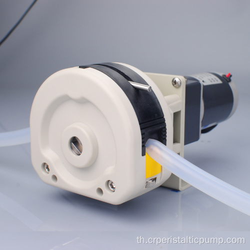 ปั๊มถ่ายเทของเหลวขนาดเล็ก OEM 12V Peristaltic Pump